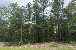 1982 W Roseboro Dr, Dunnellon, FL 34434 - Photo 1