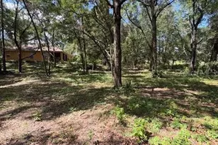 9273 SW 197th Cir, Dunnellon, FL 34432 - Photo 5