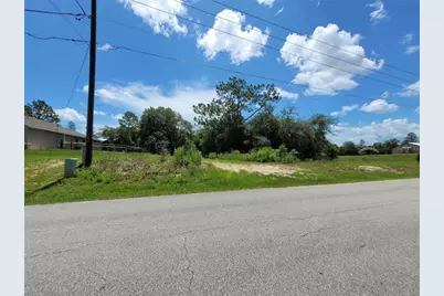 0 SW 204th Avenue (Lot 6), Dunnellon, FL 34431 - Photo 9
