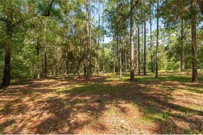 5200 SW 199th Court, Dunnellon, FL 34431 - Photo 41