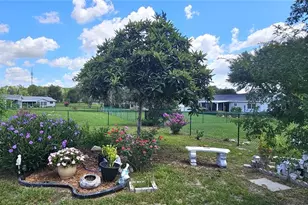 10957 SW 79th Terrace, Ocala, FL 34476 - Photo 7