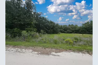 11751 SE 57th Street, Morriston, FL 32668 - Photo 3