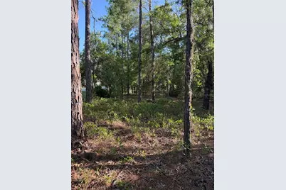 2005 Cr 243E, Wildwood, FL 34785 - Photo 5