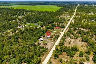 13330 SE 21st Pl, Morriston, FL 32668 - Photo 35