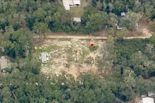 14481 NE 190th Pl, Fort Mc Coy, FL 32134 - Photo 1