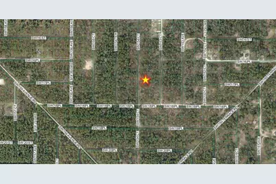 Tbd SW 154th Court, Ocala, FL 34481 - Photo 1