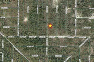 Tbd SW 154th Ct, Ocala, FL 34481 - Photo 1