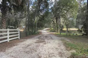 2960 NE 159th Pl, Citra, FL 32113 - Photo 5