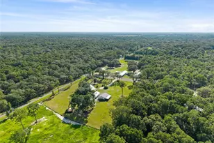 12450 NW 85th Ave, Chiefland, FL 32626 - Photo 47