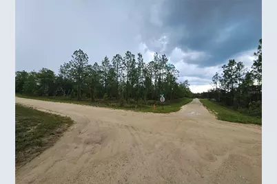 231 SE 146th Terrace, Williston, FL 32696 - Photo 5