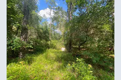 13701 NE 66th Avenue, Citra, FL 32113 - Photo 9