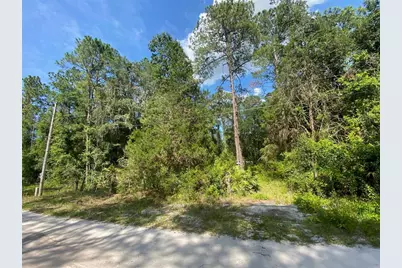 13701 NE 66th Avenue, Citra, FL 32113 - Photo 1