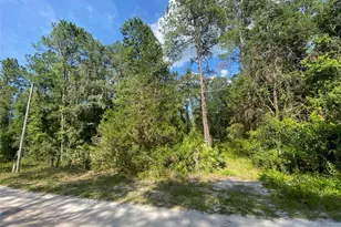 13701 NE 66th Ave, Citra, FL 32113 - Photo 1