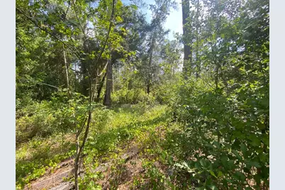 13701 NE 66th Avenue, Citra, FL 32113 - Photo 5