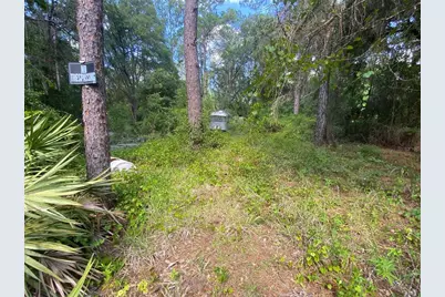13701 NE 66th Avenue, Citra, FL 32113 - Photo 3