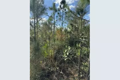 Tbd, Frostproof, FL 33843 - Photo 3