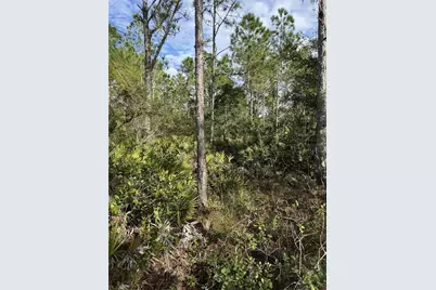 Tbd, Frostproof, FL 33843 - Photo 5