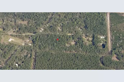 Ne Hwy 314 Highway NE, Silver Springs, FL 34488 - Photo 3