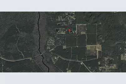 Ne Hwy 314 Highway NE, Silver Springs, FL 34488 - Photo 5
