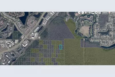 Tbd International Drive S, Orlando, FL 32821 - Photo 3