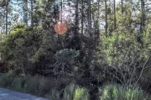 Tbd International Dr S, Orlando, FL 32821 - Photo 1