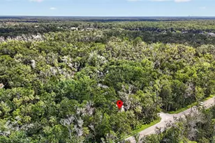 4600 S Lewoods Dr, Homosassa, FL 34448 - Photo 81