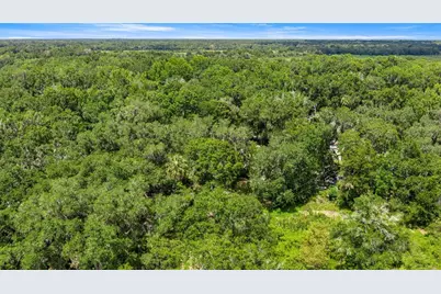 3424 NE 162nd Street, Citra, FL 32113 - Photo 31