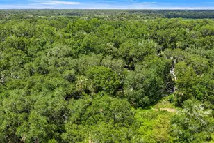 3424 NE 162nd St, Citra, FL 32113 - Photo 31