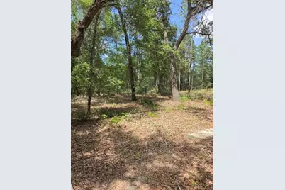 8355 N Orton Way, Dunnellon, FL 34434 - Photo 5
