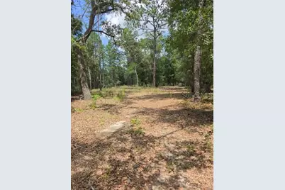 8355 N Orton Way, Dunnellon, FL 34434 - Photo 9
