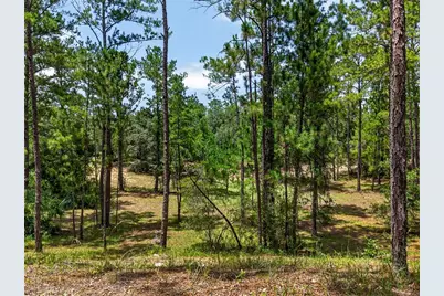 8355 N Orton Way, Dunnellon, FL 34434 - Photo 3