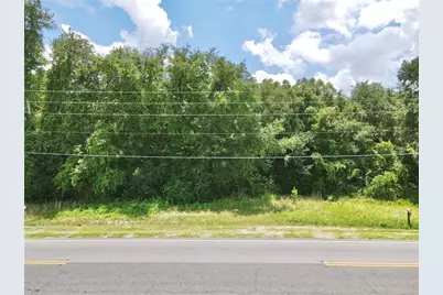 Se Hwy 42, Weirsdale, FL 32195 - Photo 3