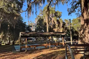 25229 NE 142nd St, Fort Mc Coy, FL 32134 - Photo 75