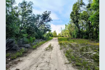 8821 NE 97th Court, Bronson, FL 32621 - Photo 3