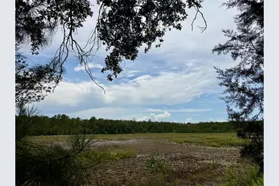 14120 NE 110th Avenue Road, Fort Mc Coy, FL 32134 - Photo 19
