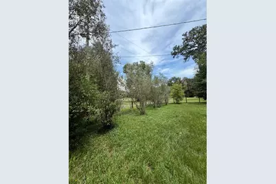 14120 NE 110th Avenue Road, Fort Mc Coy, FL 32134 - Photo 11