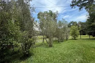 14120 NE 110th Avenue Rd, Fort Mc Coy, FL 32134 - Photo 11