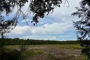 14120 NE 110th Avenue Rd, Fort Mc Coy, FL 32134 - Photo 21