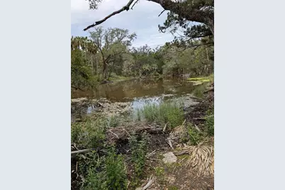 0 SE Bee Tree Rd, Gulf Hammock, FL 32639 - Photo 1