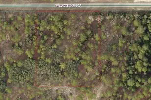 10 11 SW Pony Ridge Dr SW, Dunnellon, FL 34431 - Photo 1