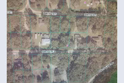 0 SW 102 Place, Dunnellon, FL 34432 - Photo 3