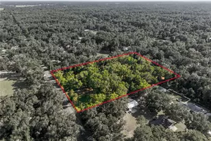 14000 NE 47th Ave, Anthony, FL 32617 - Photo 73