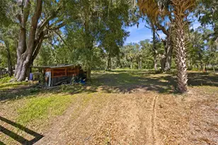 14000 NE 47th Ave, Anthony, FL 32617 - Photo 7