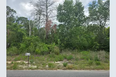3475 El Prado Avenue, Spring Hill, FL 34609 - Photo 3
