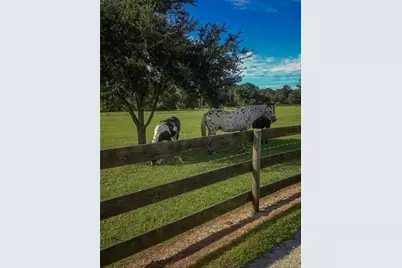 9897 NW 160 Avenue, Morriston, FL 32668 - Photo 87