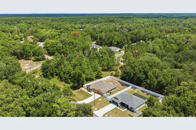 162 Guava Terrace, Ocklawaha, FL 32179 - Photo 19