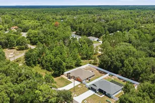 162 Guava Terrace, Ocklawaha, FL 32179 - Photo 19