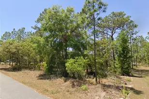Tbd Lot 25 Oak Ln Circle, Ocala, FL 34472 - Photo 1