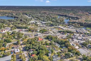 19720 SW 79th Pl, Dunnellon, FL 34432 - Photo 55