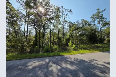 Lot 37 SW Hunter Hill Avenue, Dunnellon, FL 34431 - Photo 5